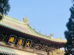 -报恩寺(平武县)