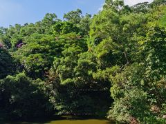 -深圳国际园林花卉博览园