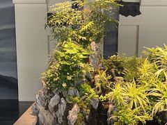 -渔人码头(中南店)