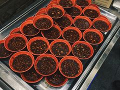 -雷祖芳老妈蹄花店