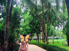 -三亚湾海居铂尔曼度假酒店