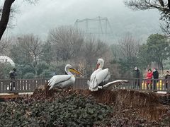 -无锡动物园·太湖欢乐园