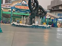 -海合安成都极地海洋公园