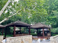 -春晖园度假酒店温泉