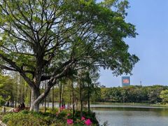 -东莞植物园