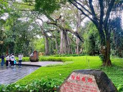 -瑞丽独树成林风景区