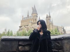 -哈利波特魔法世界