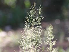 -维乐口腔医院(星海湾分院)