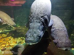 -嘉兴海底世界