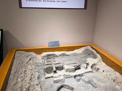 -洛阳周王城天子驾六博物馆