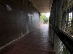-普芬比利蒸汽火车