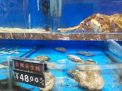 水产区-河马鲜生海鲜超市(风荷园店)