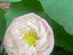 -福州大学(旗山校区)