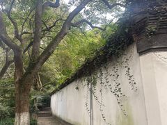 -杭州黄龙洞