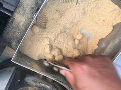 -王家大院