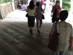 -人民公园-相亲角