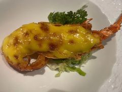 -上海雅居乐万豪侯爵酒店