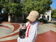 -翊宠yipet猫狗购宠庄园犬舍•猫舍