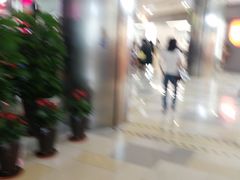 -鹏欣水游城