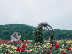 -龙寺生态园