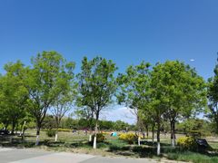 -太阳宫公园