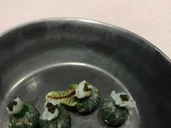 -子福慧(虹桥店)