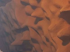 -龙达温泉生态城