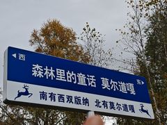 -莫尔道嘎国家森林公园