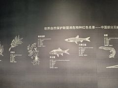 -中国湿地博物馆