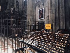 -斯蒂芬主教座堂(Stephansdom)