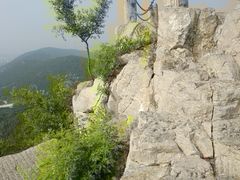 -佛慧山