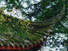 -青城山