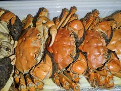 -南京大牌档(中关村领展广场店)