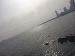 iphone_upload_pic-栈桥景区