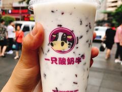 -一只酸奶牛(八一路店)