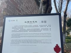 -龟山风景区-龟山电视塔