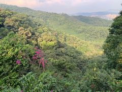-广州市白云山风景名胜区