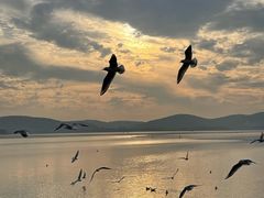 -蠡湖大桥公园