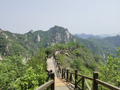 -大岭沟猕猴桃谷风景区