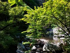 -少华山国家森林公园