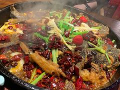 老板恋上鱼-老板恋上鱼(恒隆广场店)