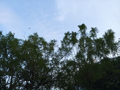 -华南师范大学(广州大学城校区)