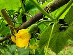 -顺风山庄(水濂山店)