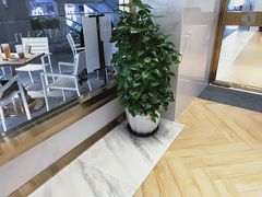 -813芭依珊 BAESAn(汇港购物中心店)