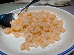 -同济大酒店(绿宝广场店)