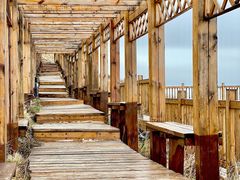 -白草畔自然风景区