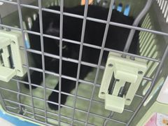 -美联众合动物医院·24h京西诊疗中心