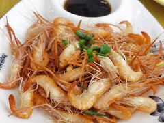 -宾湖农庄·农场特色(太湖龙之梦店)