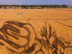 -稻梦空间冰雪小镇