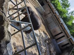 -深圳野生动物园